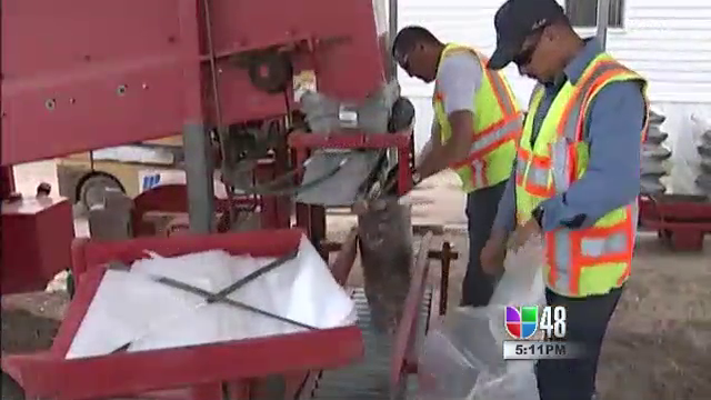 La Ciudad de McAllen Le Pide Reciclar Sus Árboles de Navidad