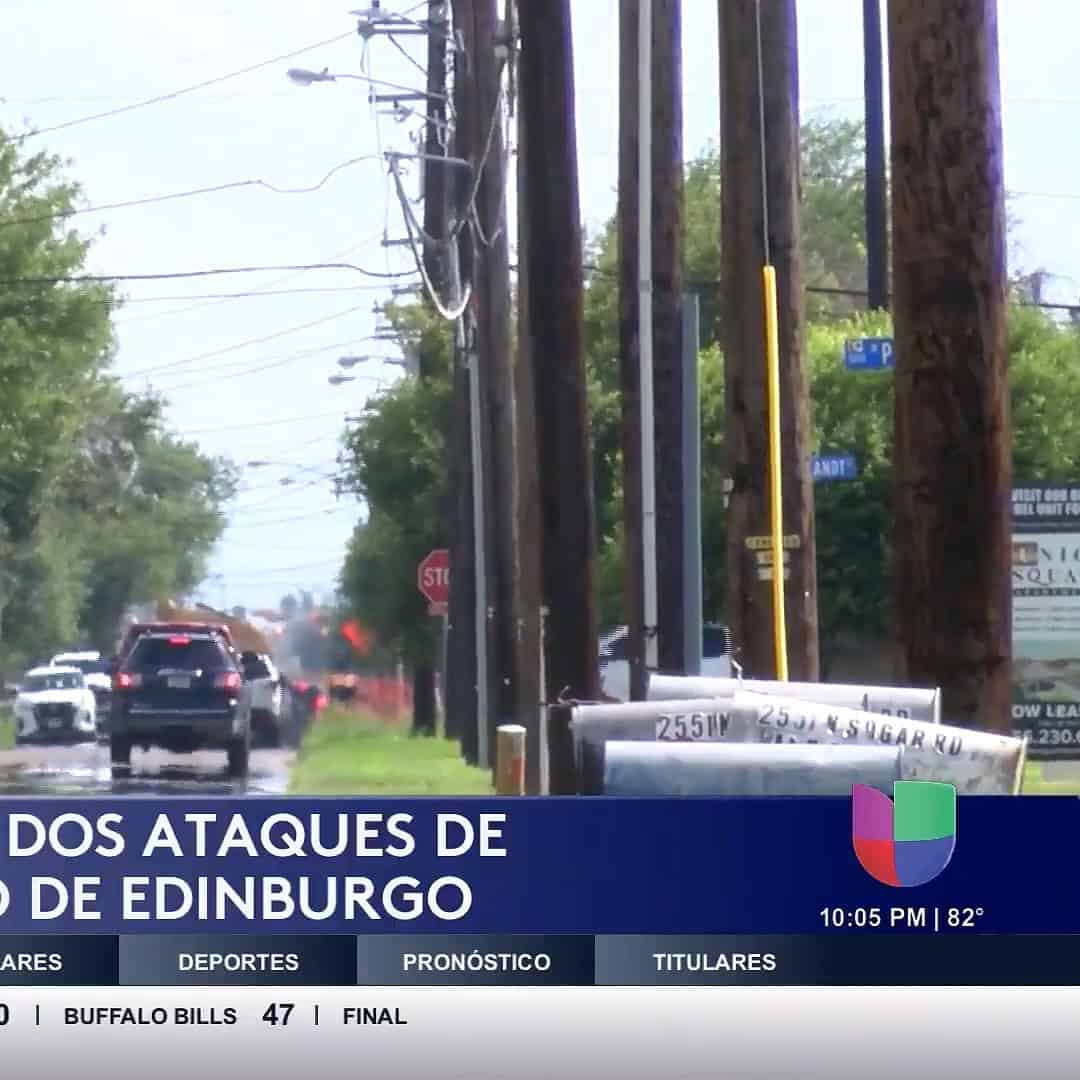 Ataques de Abejas en Edimburgo Dejan a Víctimas en Estado Crítico: Bomberos Emiten Advertencias