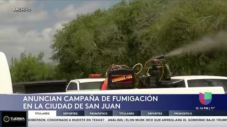 San Juan Anuncia Fumigación de Mosquitos: ¿Estás Preparado?