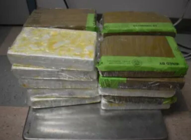 Decomisan 46 Libras De Cocaína en Puente Internacional Los Indios
