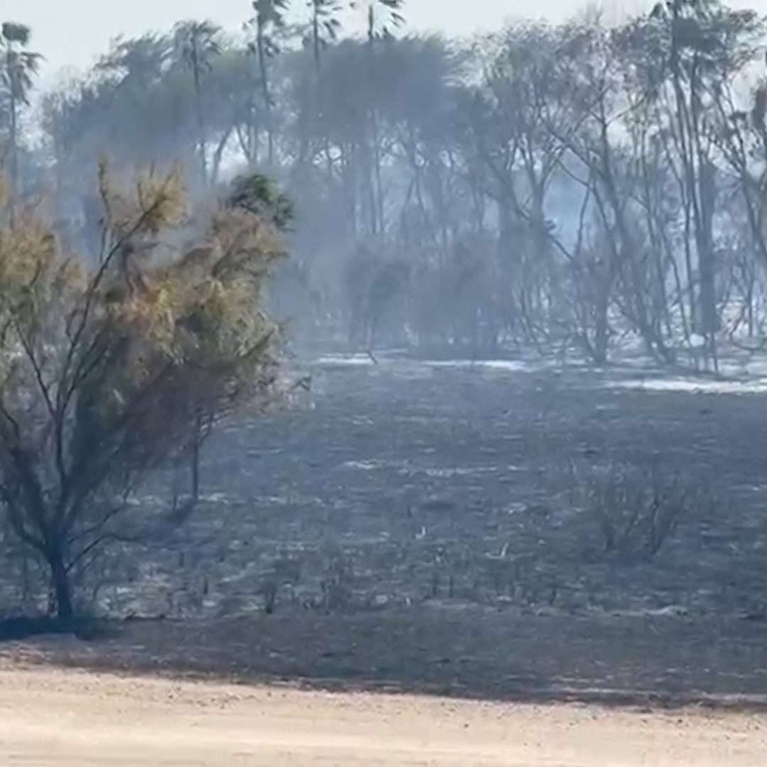 Alerta por incendios: Fuertes ráfagas y bajos niveles de humedad aumentan el riesgo de fuegos forestales