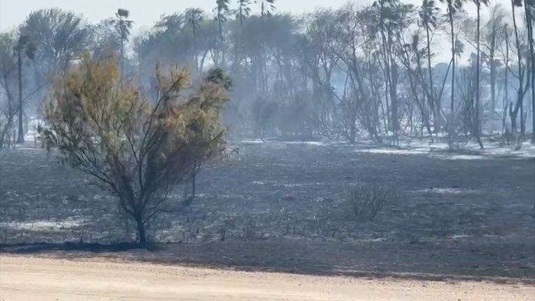 Alerta por incendios: Fuertes ráfagas y bajos niveles de humedad aumentan el riesgo de fuegos forestales
