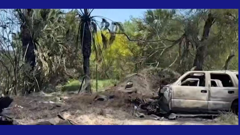 Se incendia negocio de carros en Brownsville
