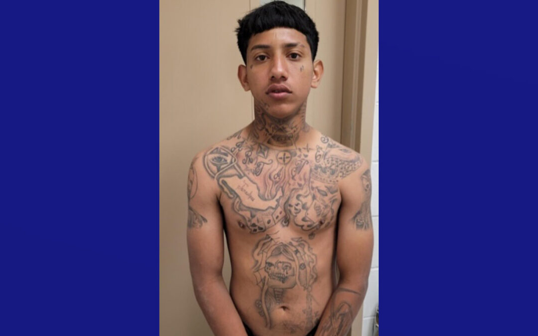 Detienen a pandillero recientemente deportado con 48 libras de marihuana en el sur de Texas