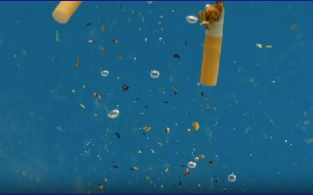 Microplásticos: La amenaza oculta en nuestros océanos