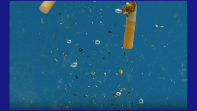 Microplásticos: La amenaza oculta en nuestros océanos