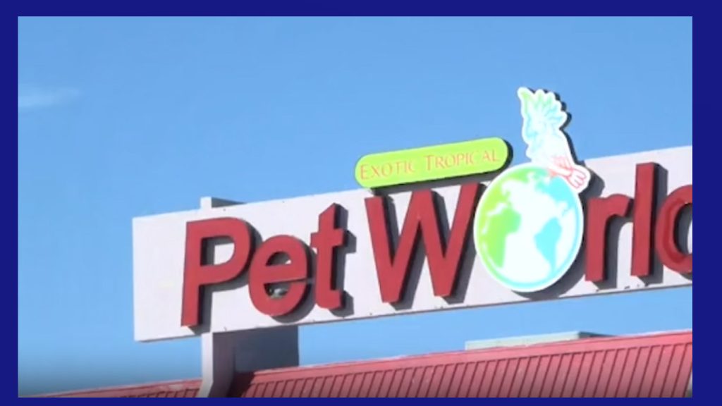 Incendio en McAllen: Arrestos nueve años después del siniestro en Exotic Tropical Pet World