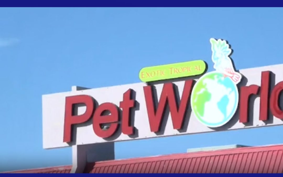 Incendio en McAllen: Arrestos nueve años después del siniestro en Exotic Tropical Pet World