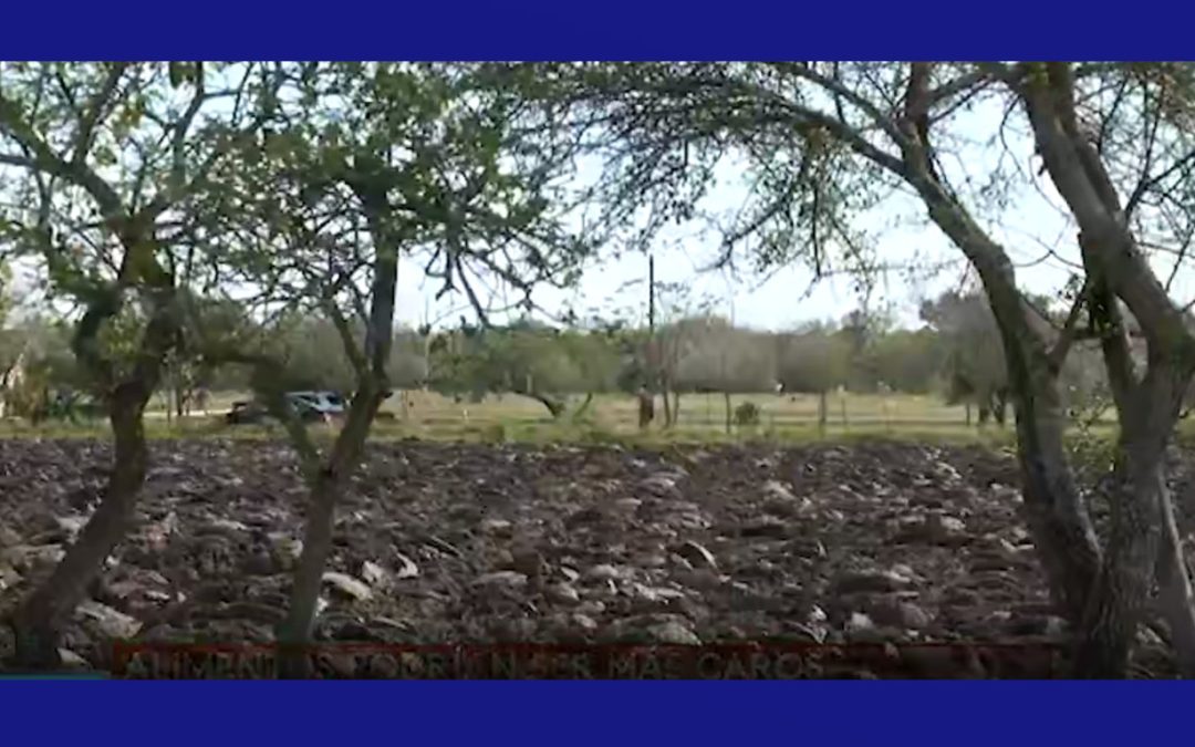 Agricultores enfrentan desafíos mientras se acerca la fecha límite para la ayuda federal