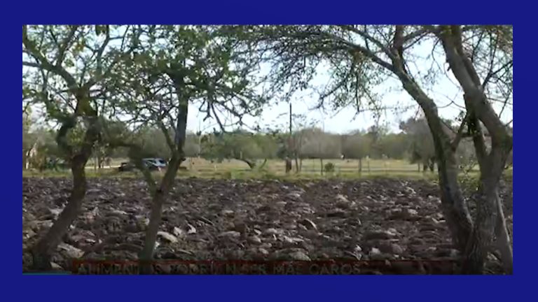 Agricultores enfrentan desafíos mientras se acerca la fecha límite para la ayuda federal