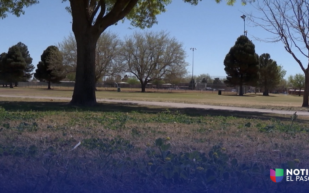 Participe en la Encuesta para Mejorar Parques en El Paso y Contribuya al Futuro de Su Ciudad