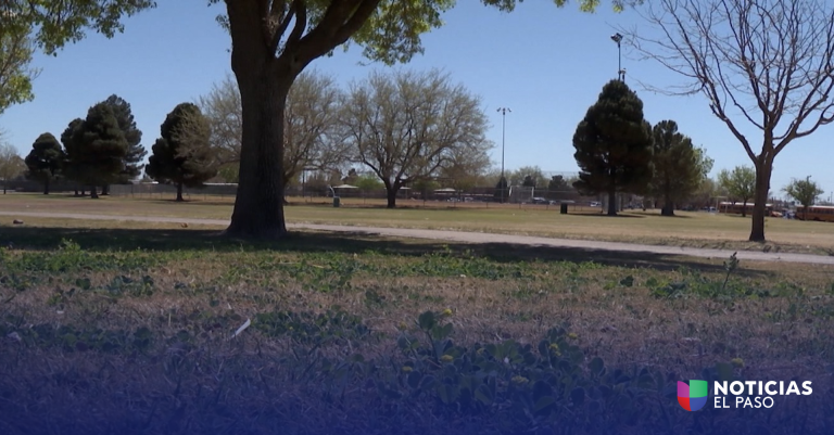 Participe en la Encuesta para Mejorar Parques en El Paso y Contribuya al Futuro de Su Ciudad