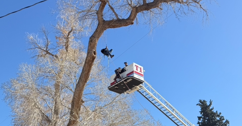Rescate en árbol: Bomberos de Las Cruces salvan a trabajador en Doña Ana