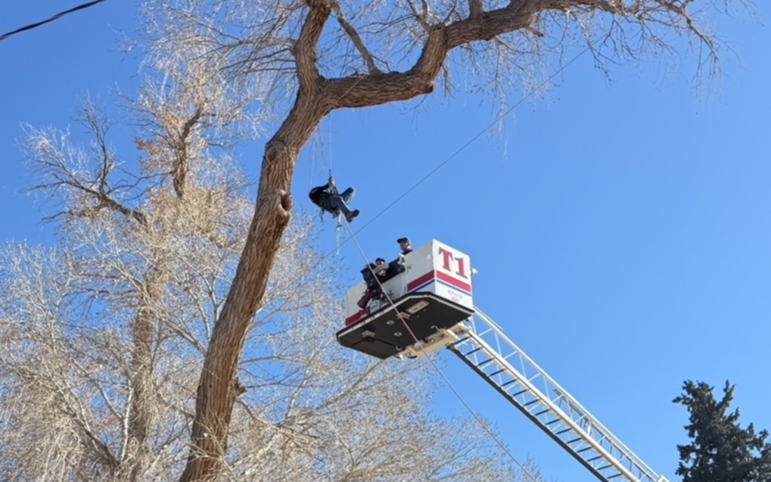 Rescate en árbol: Bomberos de Las Cruces salvan a trabajador en Doña Ana