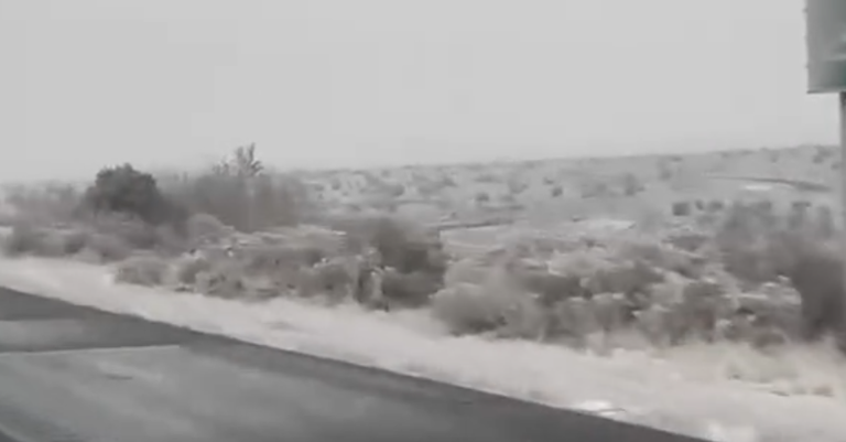 Retrasos Escolares y Cierres en Nuevo México Debido a Tormenta Invernal