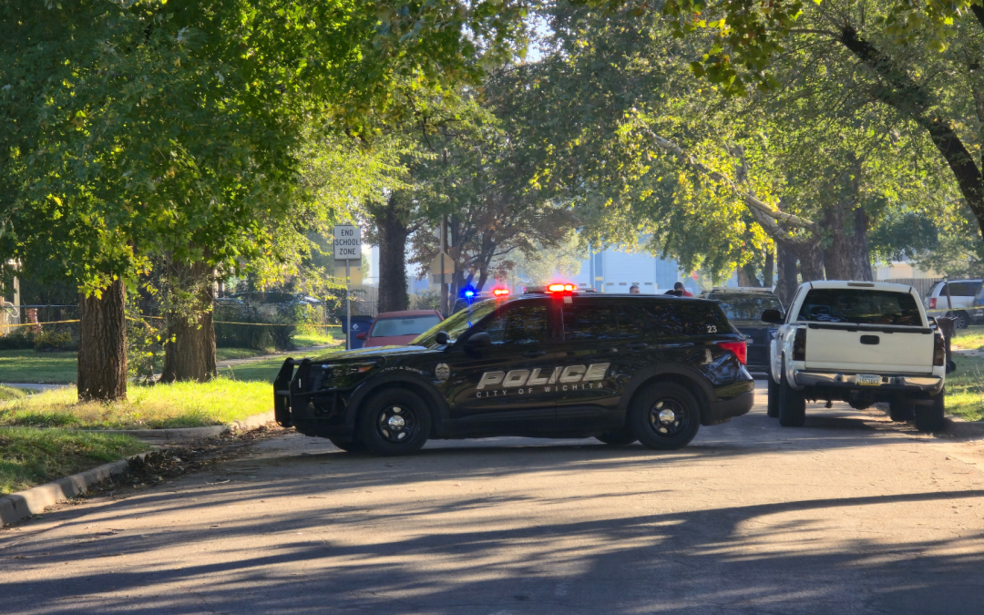 Violencia Doméstica en Wichita: Mujer de 81 Años Apuñalada en su Hogar
