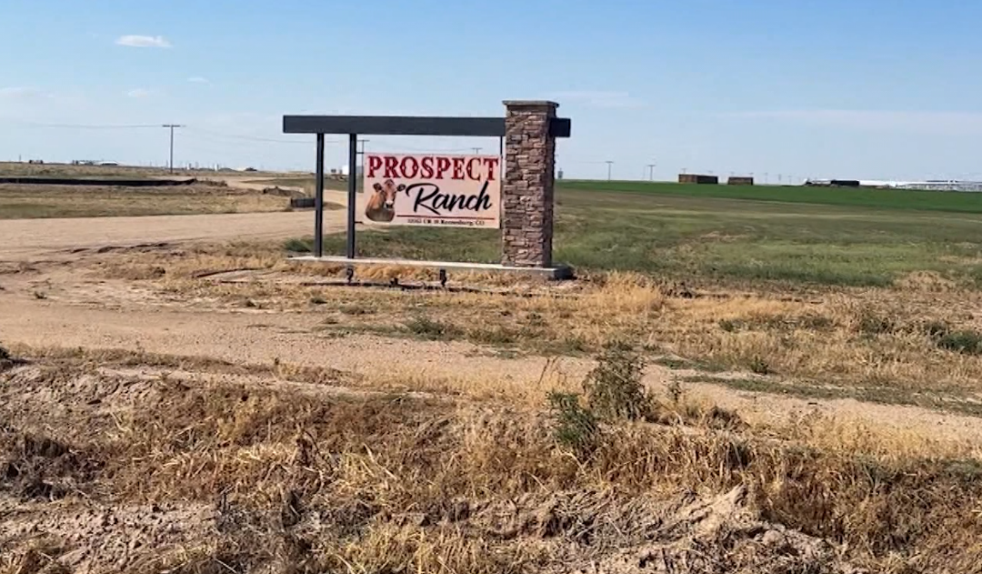 Tragedia en Weld County: Seis muertes por gas tóxico en operación lechera