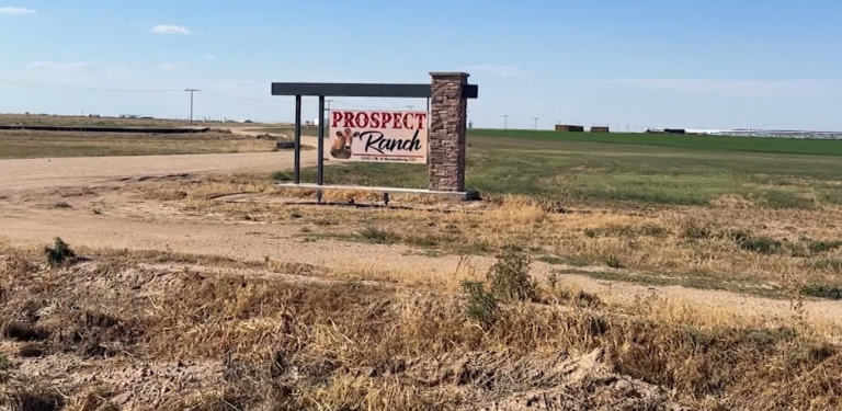 Tragedia en Weld County: Seis muertes por gas tóxico en operación lechera