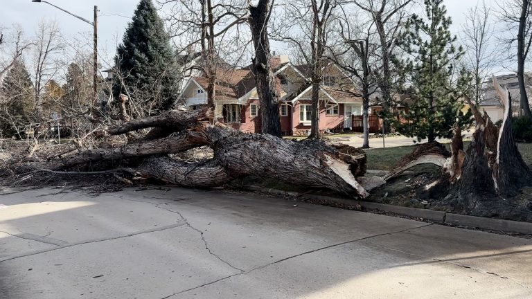 Vientos Fuertes en Colorado: Precauciones y Seguridad Esenciales