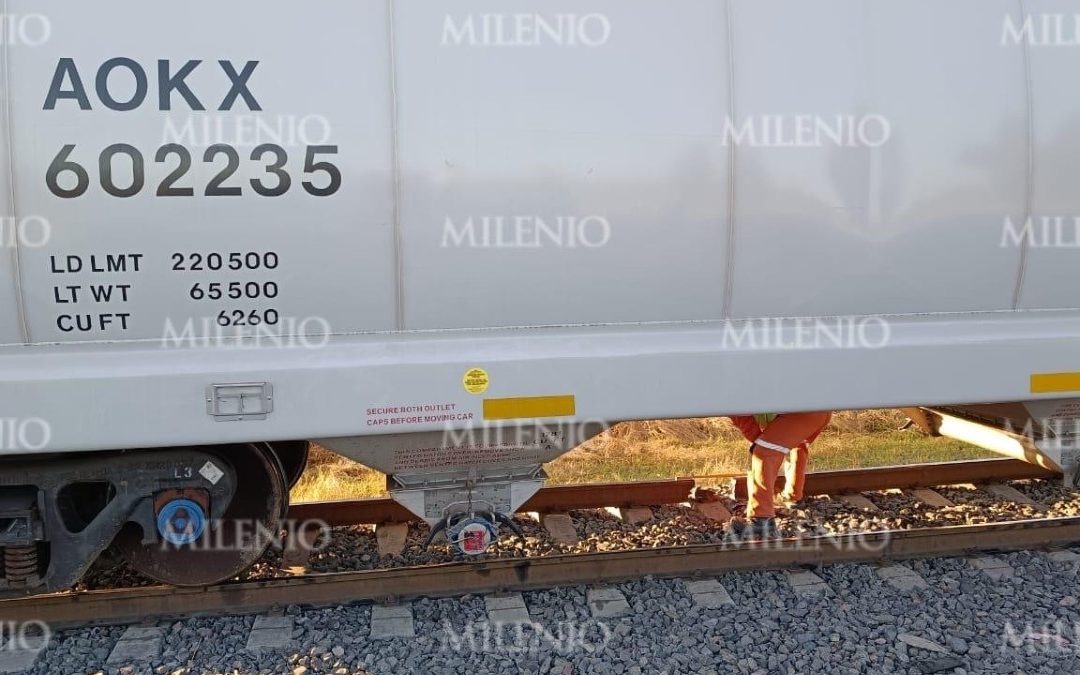 Cártel Santa Rosa de Lima Intenta Sabotear un Tren en Cortazar: Cortan Rieles para Robarlo