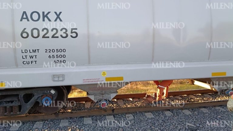 Cártel Santa Rosa de Lima Intenta Sabotear un Tren en Cortazar: Cortan Rieles para Robarlo