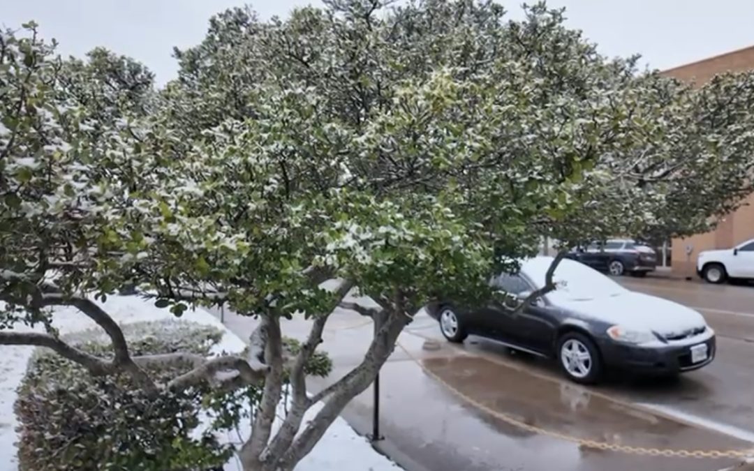Nieve en el Permian Basin: autoridades advierten sobre precauciones al conducir