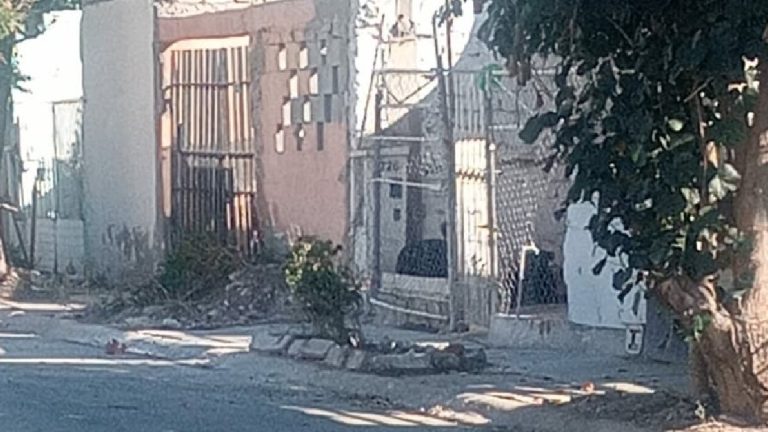 Foco de peligro en Quintas los Nogales: Perros agresivos amenazan la seguridad en Torreón
