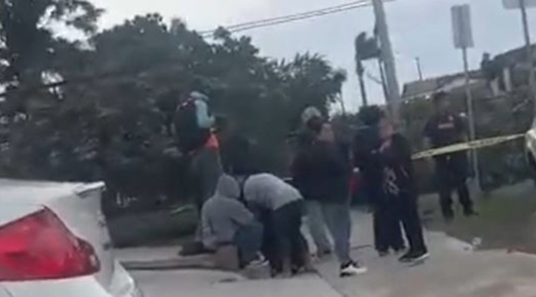 Trágica muerte por caída de árbol en City Heights