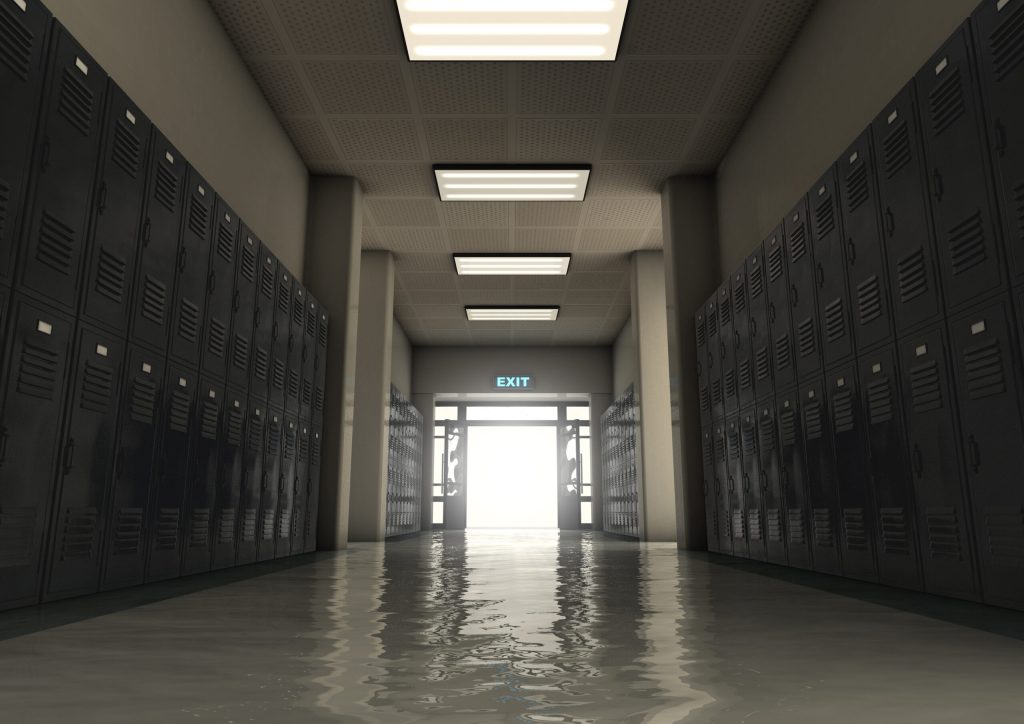 Bullying en Nevada: Reducción del 14% en Violencia Escolar y Cyberbullying