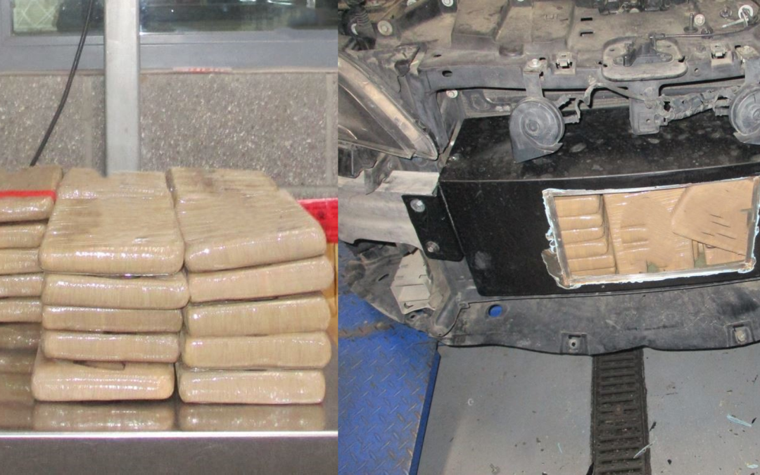 Incautación de Fentanilo en San Ysidro: CBP Decomisa 57 Libras de Droga Peligrosa