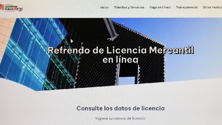 Renueva tu Licencia de Funcionamiento Mercantil en Línea: Simplifica Tus Trámites en McAllen