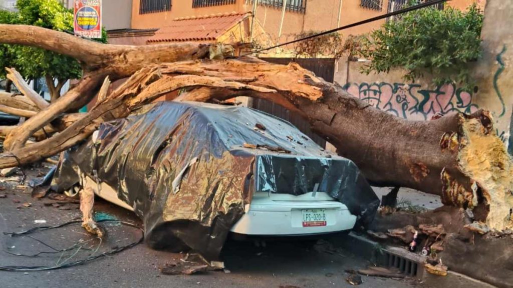 Sismo en San Marcos, Guerrero: Más de 30 Inmuebles Afectados en la Ciudad de México