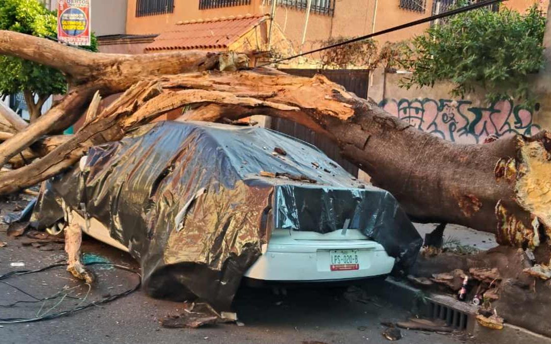 Sismo en San Marcos, Guerrero: Más de 30 Inmuebles Afectados en la Ciudad de México