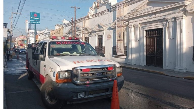 Sismo de 6.5 Grados en Guerrero: Fuertes Temblores Sacuden a Michoacán sin Daños Reportados