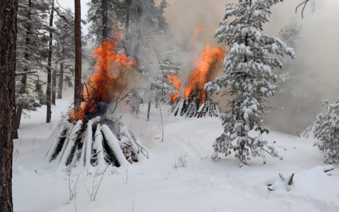 Prevención de Incendios: Bosque Nacional de Santa Fe Realiza Quemaduras Controladas