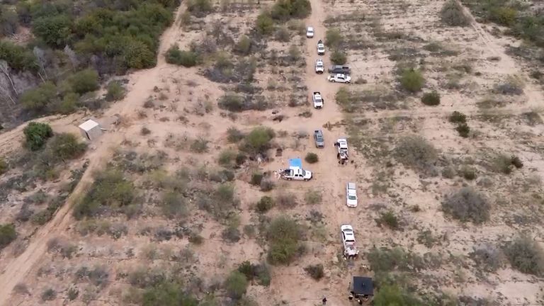 Descubrimiento Impactante: 17 Fosas Clandestinas y Más de 20 Cuerpos en Mexicali