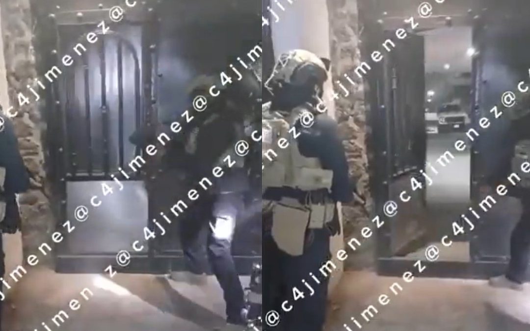 Operativo en Xochimilco: Nacen Perritos y se Encuentra Armamento del Cártel de Sinaloa
