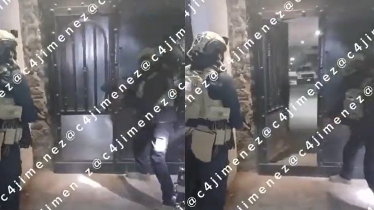 Operativo en Xochimilco: Nacen Perritos y se Encuentra Armamento del Cártel de Sinaloa