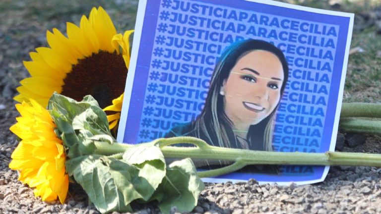Ley Mozón: Consecuencias y Estados Donde Ha Sido Aprobada
