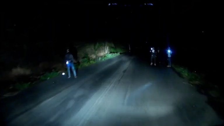Productores de café exigen seguridad ante ola de asaltos en la carretera Xalapa-Totutla, Veracruz