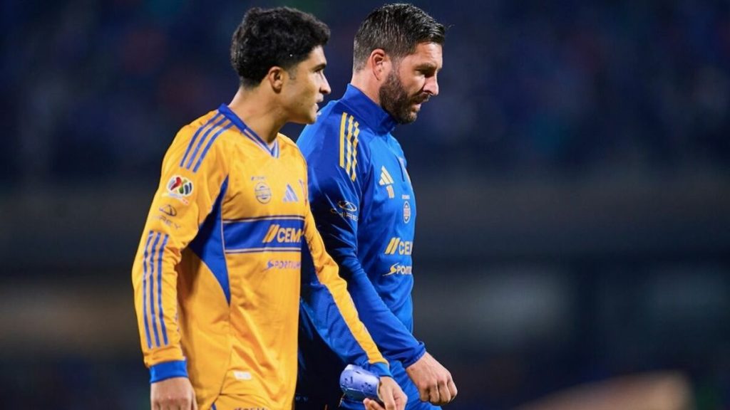 Refuerzos de Tigres: ¿Cuándo llegarán al equipo?