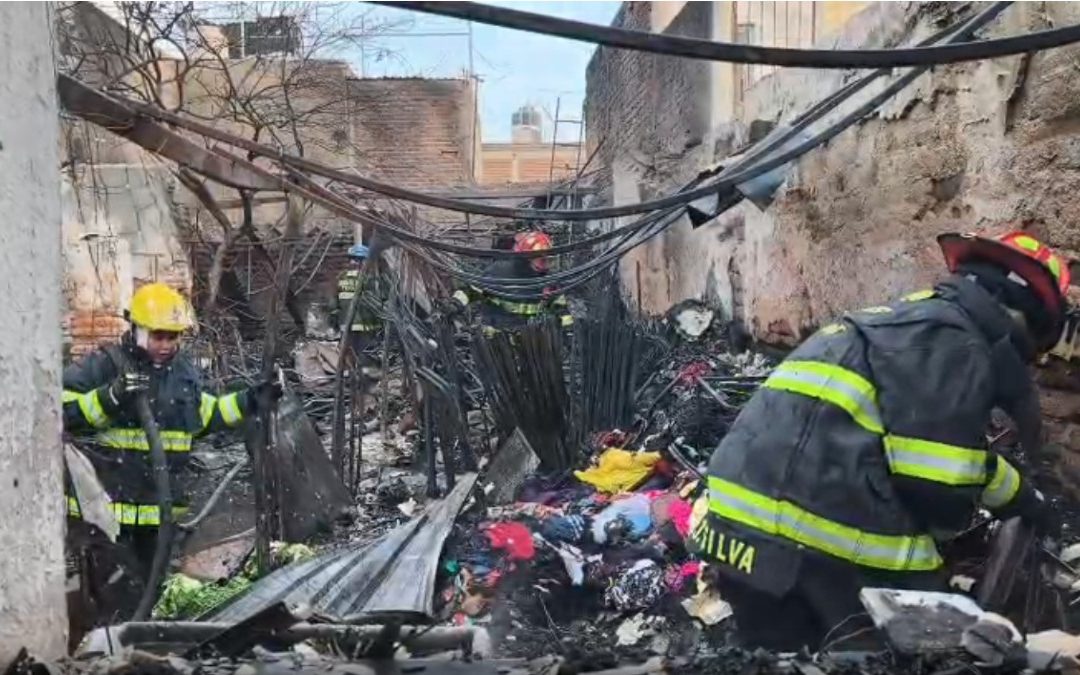 Incendio en Tonalá: Fuego devasta vivienda y causa la muerte de tres perritos