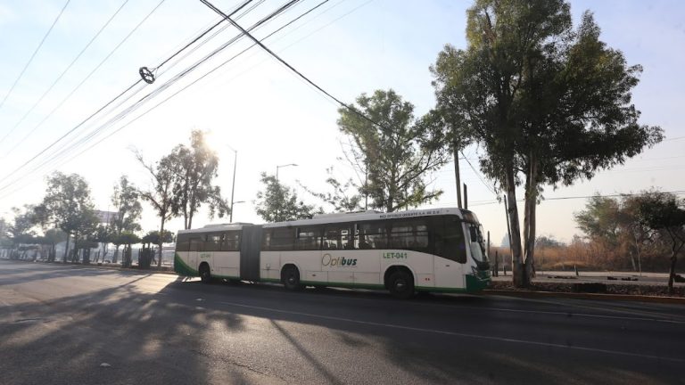 Retrasos en el Transporte Público en León: Hasta 30 Minutos el 1 de Enero de 2026