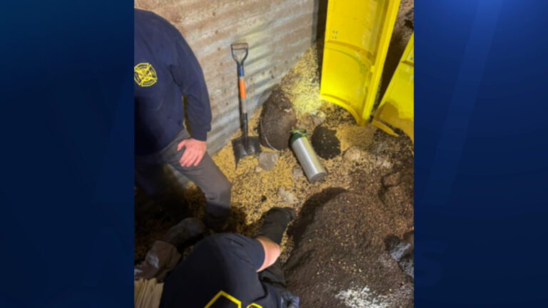 Accidente en Kansas: Colapso de silo de granos causa fatalidad