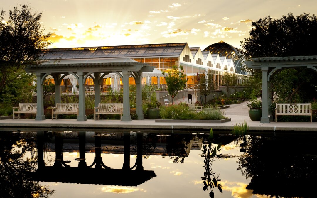 Descubre la emocionante cartelera 2026 de la Serie de Conciertos de Verano en Denver Botanic Gardens