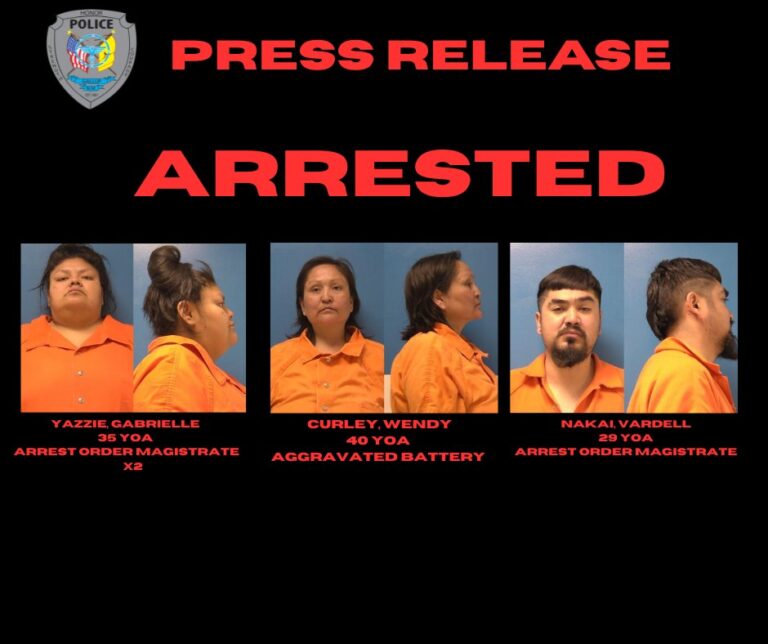 Arrestos en el Condado de McKinley: Múltiples Detenciones en un Solo Día