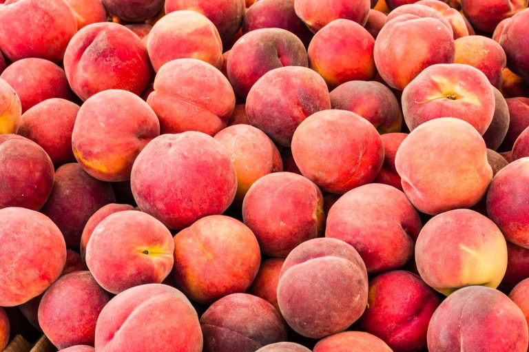 Colorado impulsa ley para proteger a agricultores locales de productos mal etiquetados
