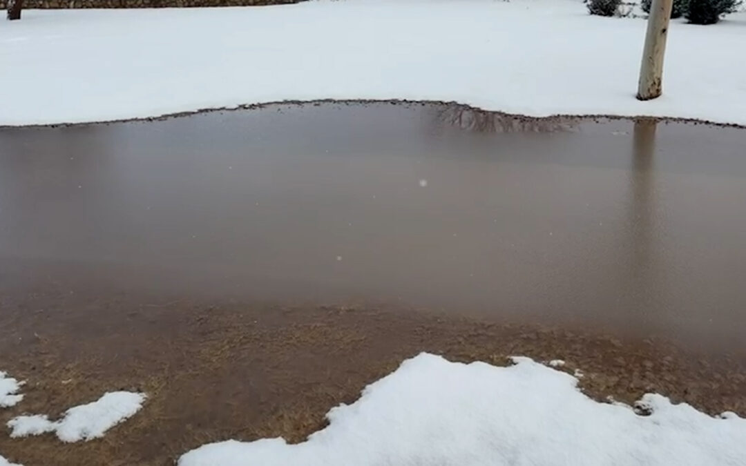 Hielo Negro: Peligros Mortales y Consejos para Conducir de Forma Segura en Nevada