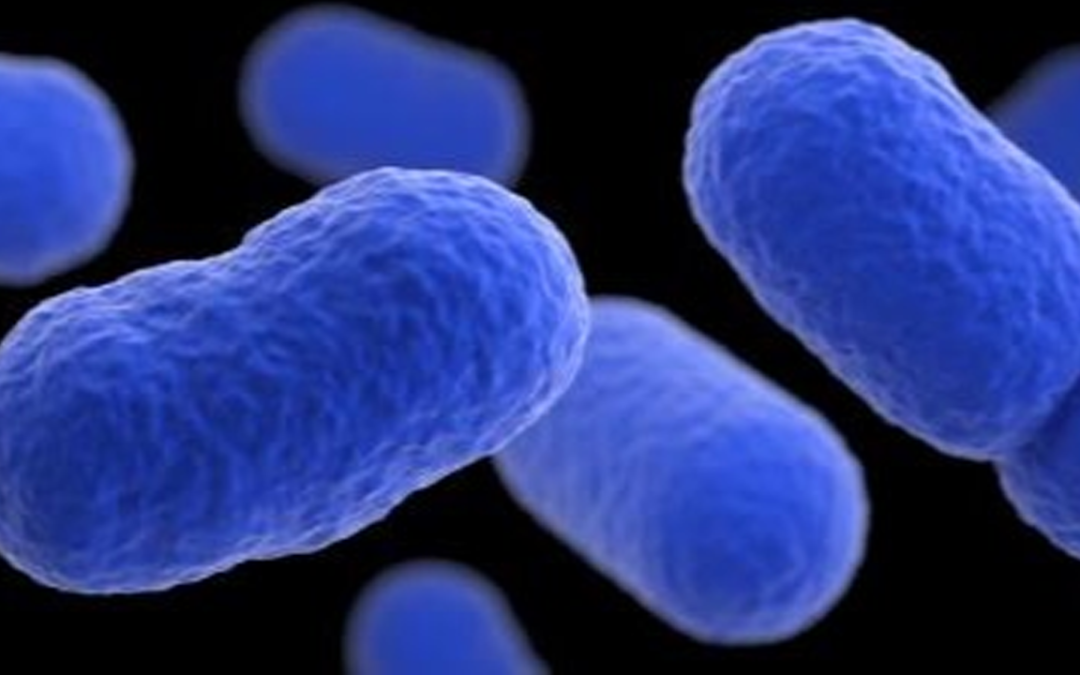 Tragedia en Santa Fe: Recién nacido muere por Listeria vinculada a leche cruda