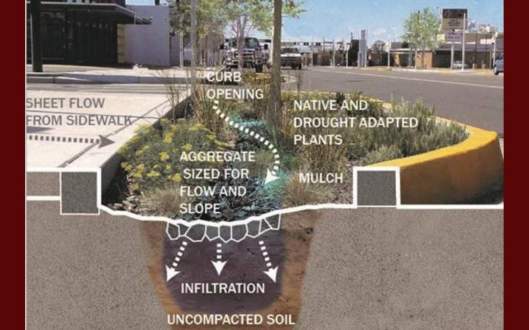 Inicia Construcción de Infraestructura Verde en Pueblo Alto para Manejar Inundaciones